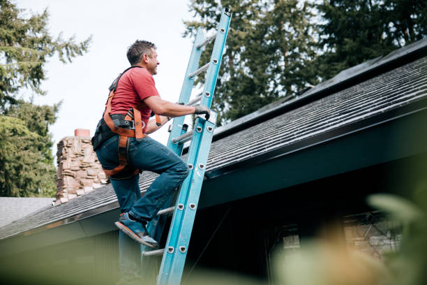 Best Skylight Installation and Repair  in Warroad, MN